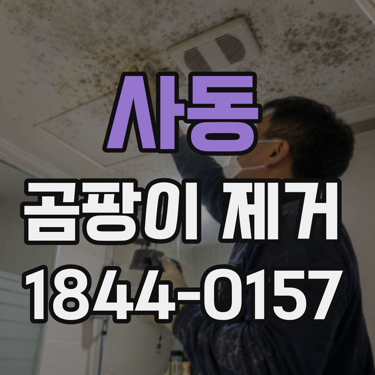 사동 곰팡이 제거