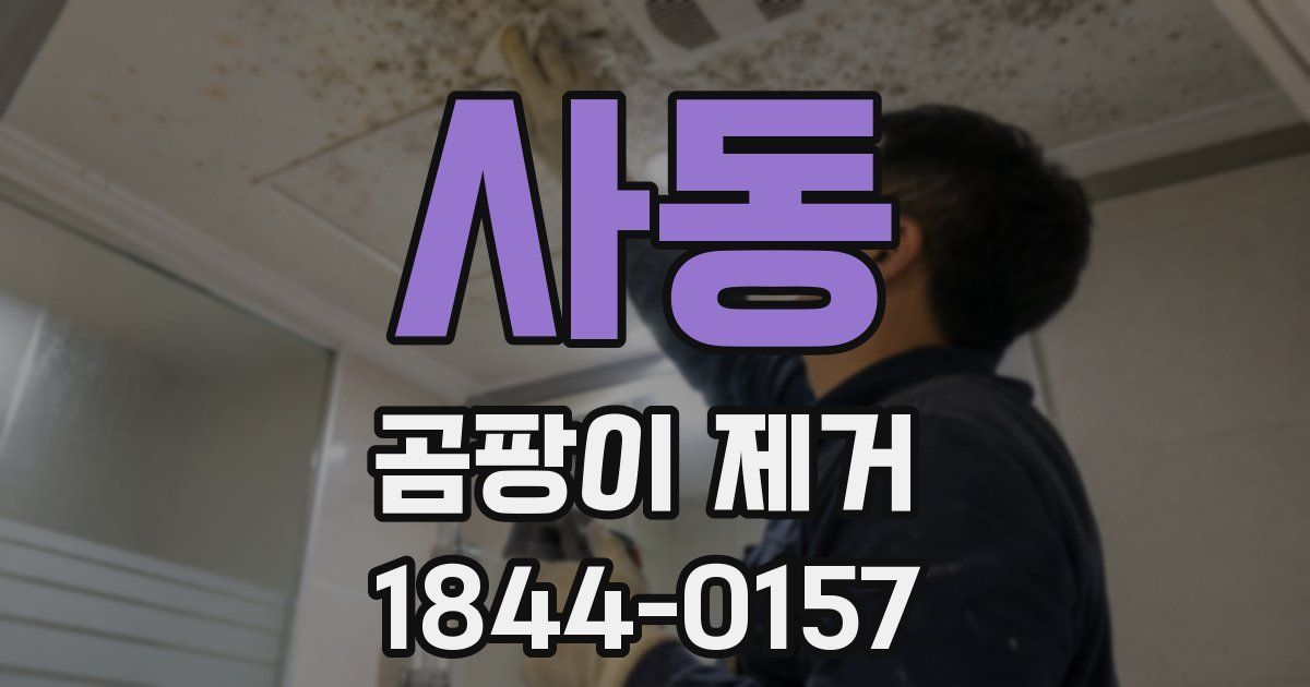 사동 곰팡이 제거