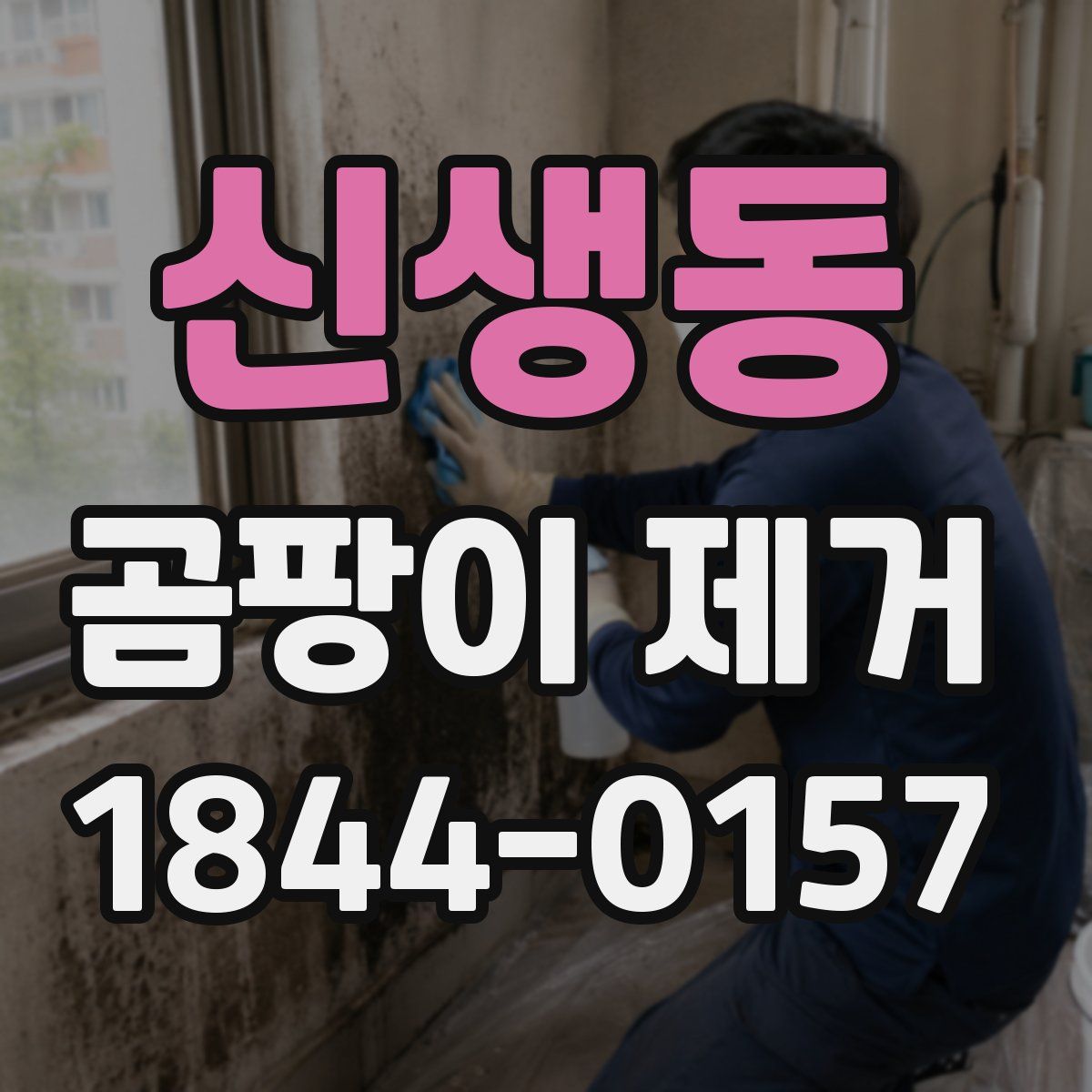 신생동 곰팡이 제거
