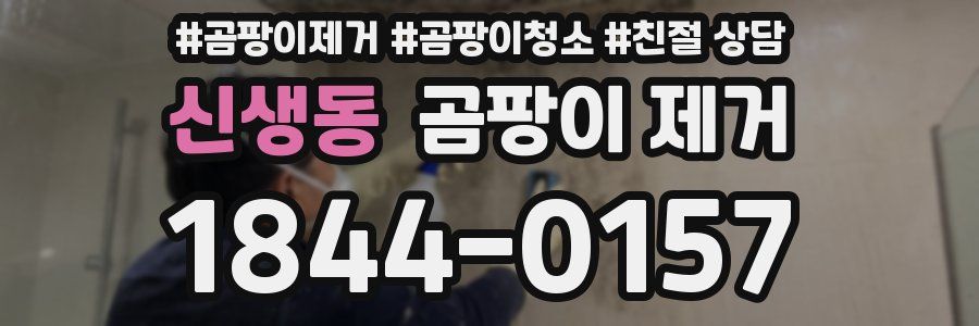 신생동 곰팡이 제거