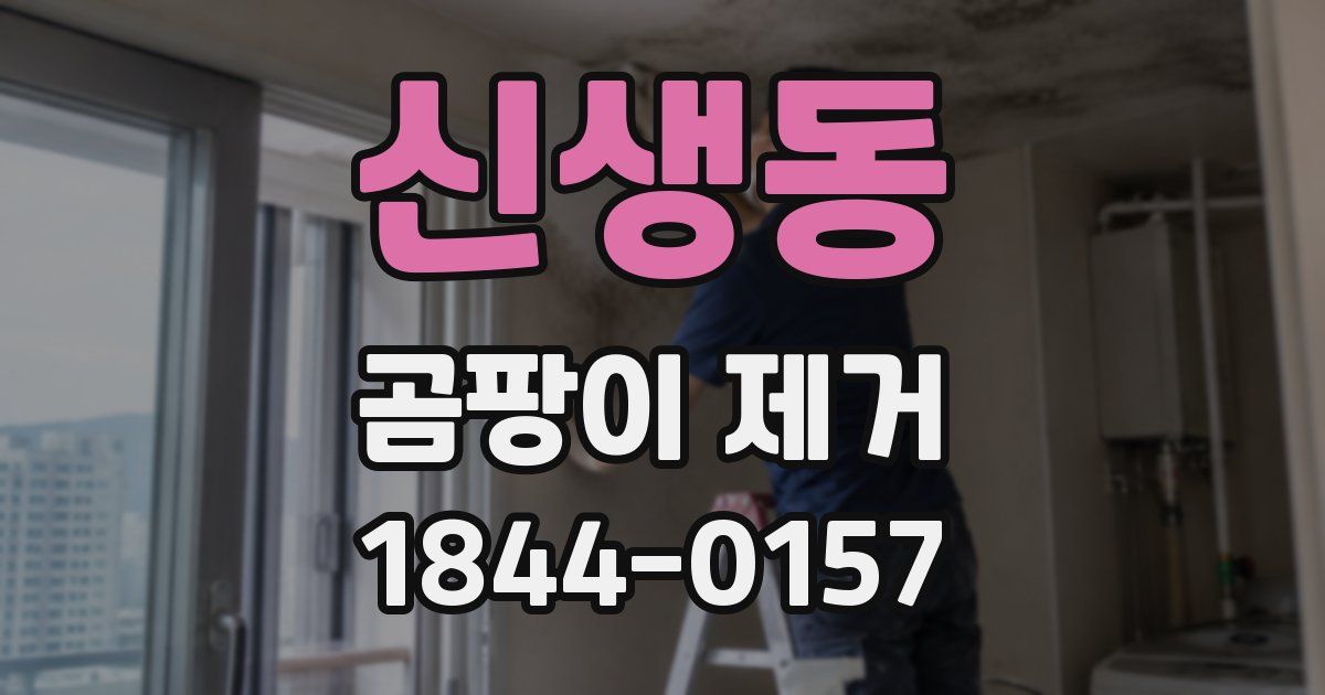 신생동 곰팡이 제거