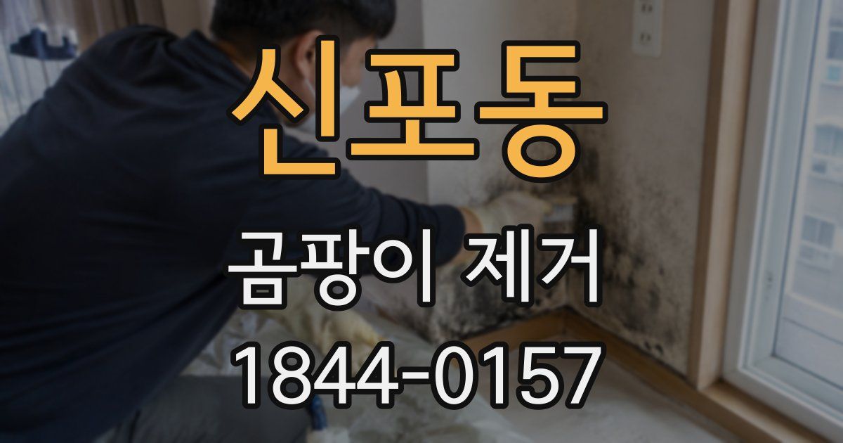신포동 곰팡이 제거