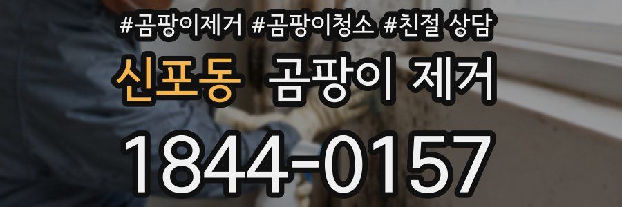 신포동 곰팡이 제거