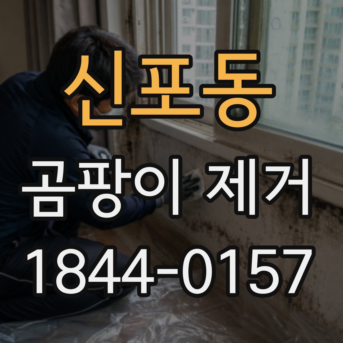 신포동 곰팡이 제거