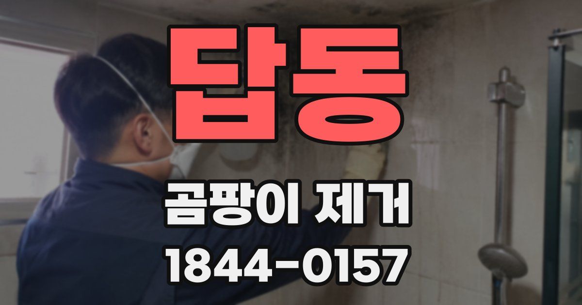답동 곰팡이 제거