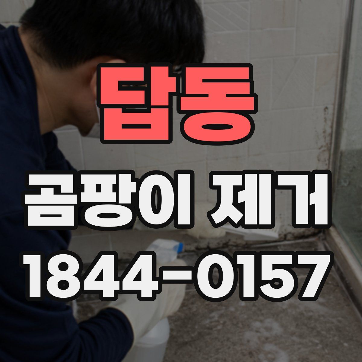 답동 곰팡이 제거