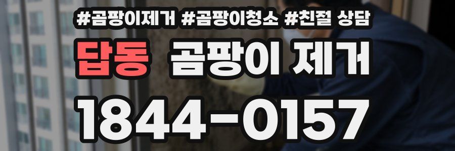 답동 곰팡이 제거