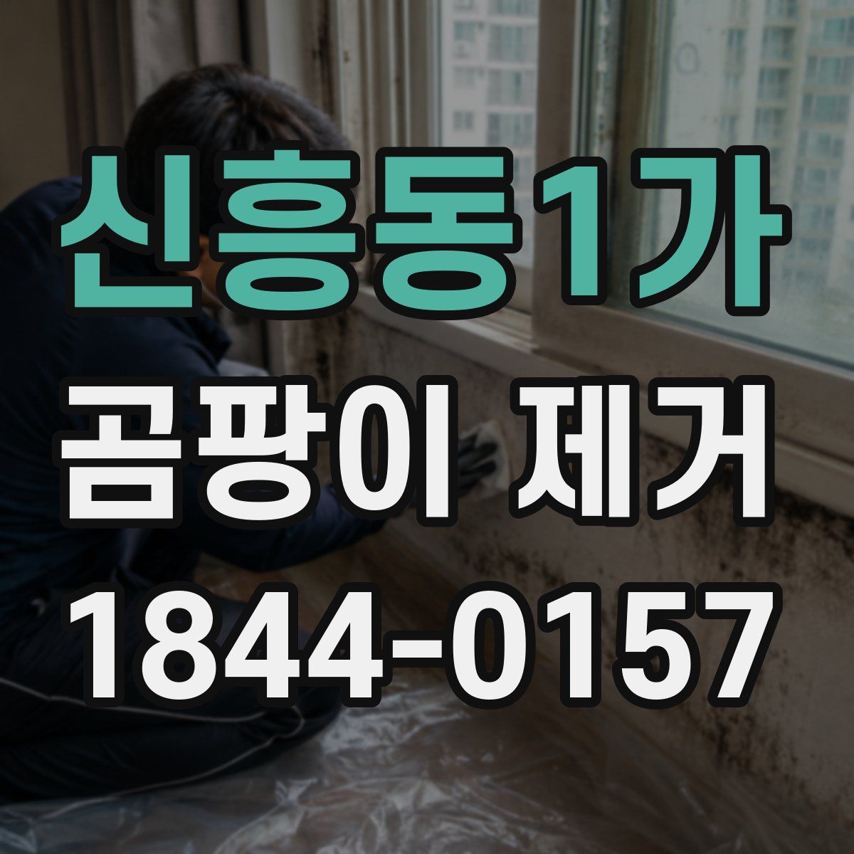 신흥동1가 곰팡이 제거