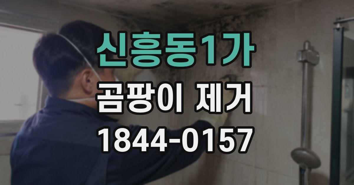 신흥동1가 곰팡이 제거