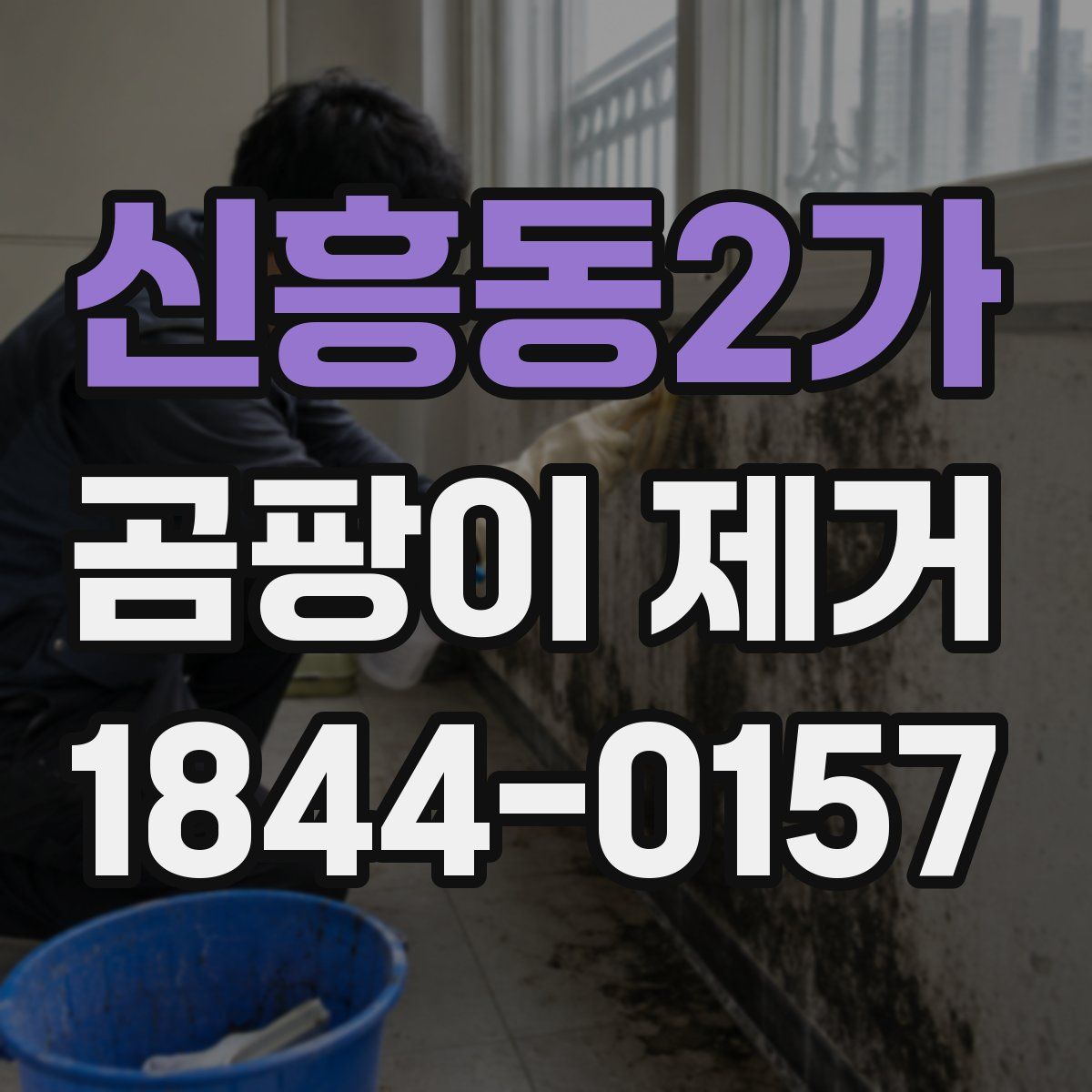 신흥동2가 곰팡이 제거