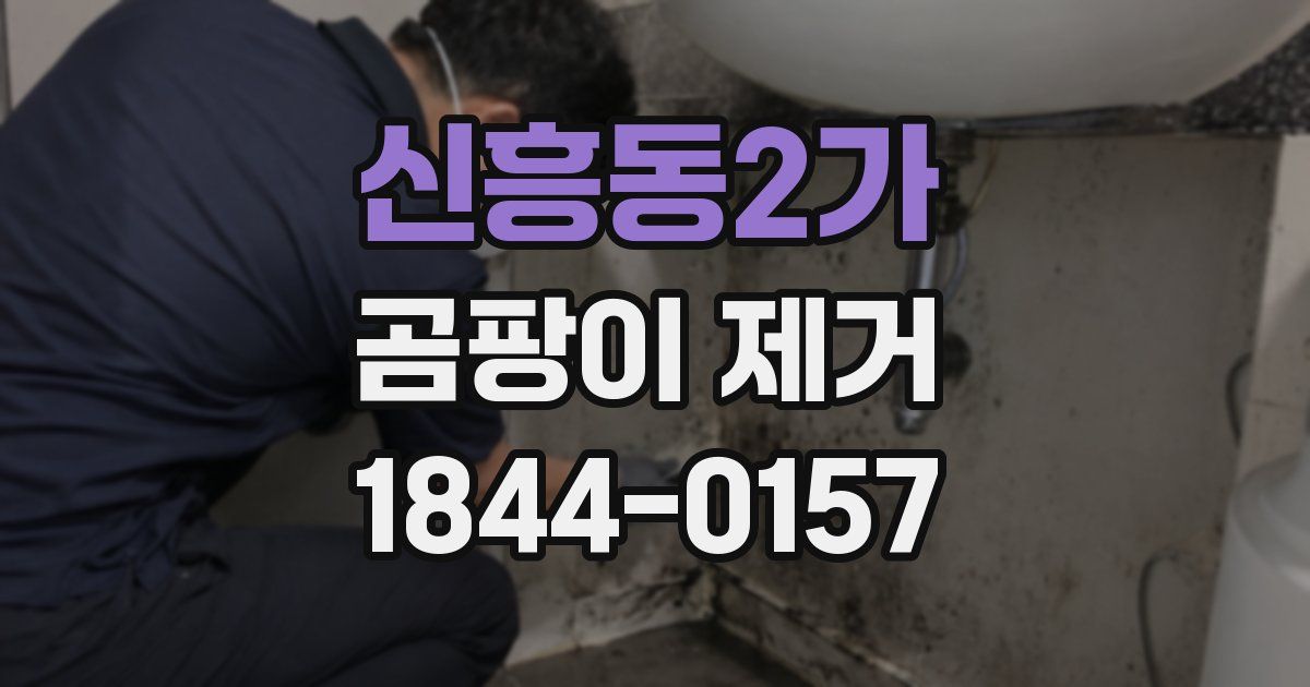 신흥동2가 곰팡이 제거