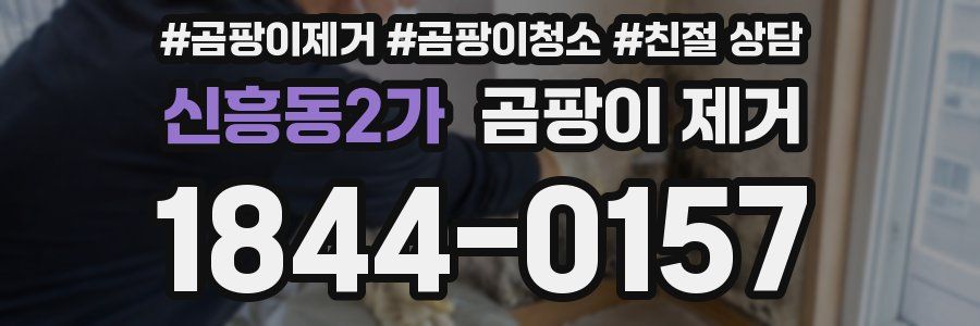 신흥동2가 곰팡이 제거