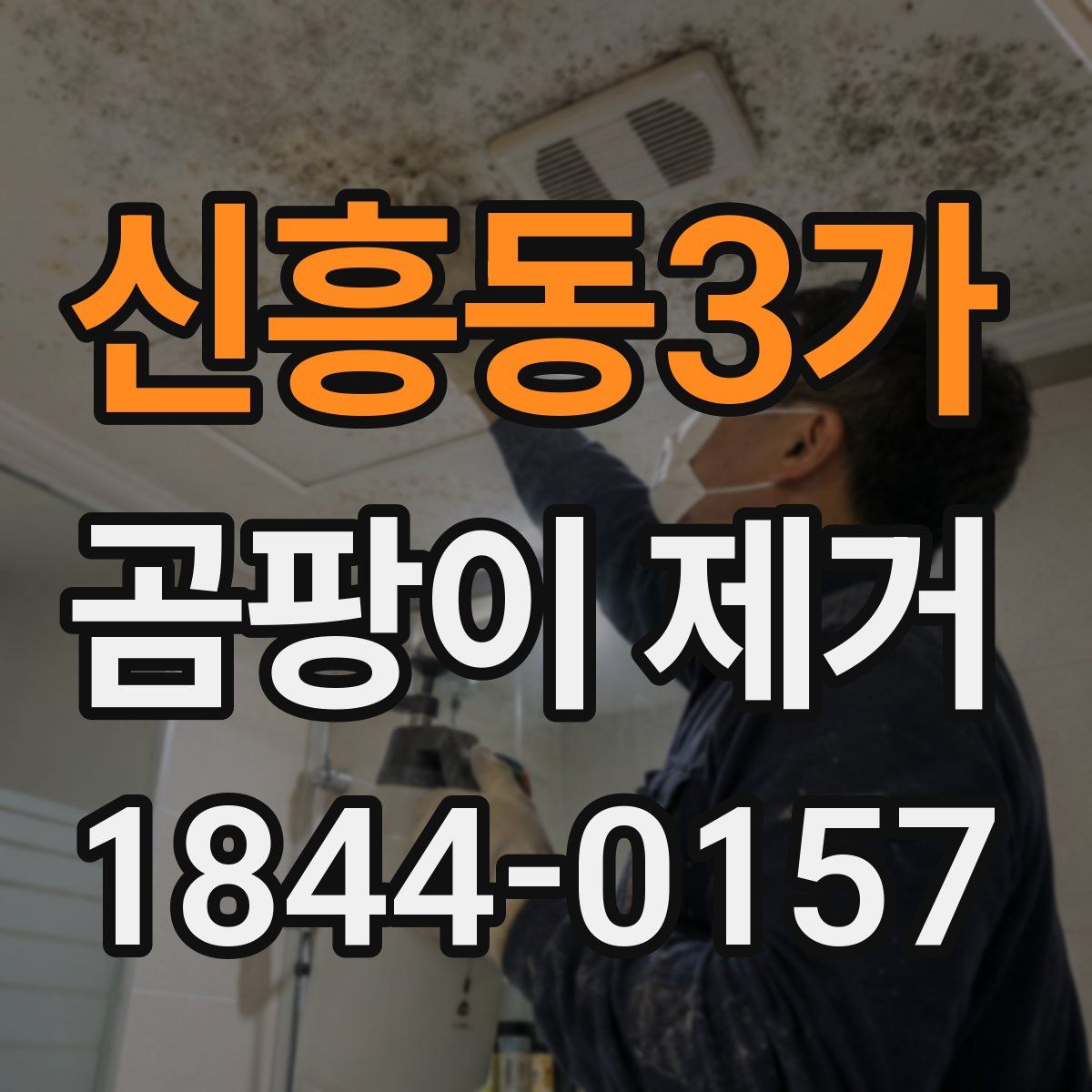 신흥동3가 곰팡이 제거