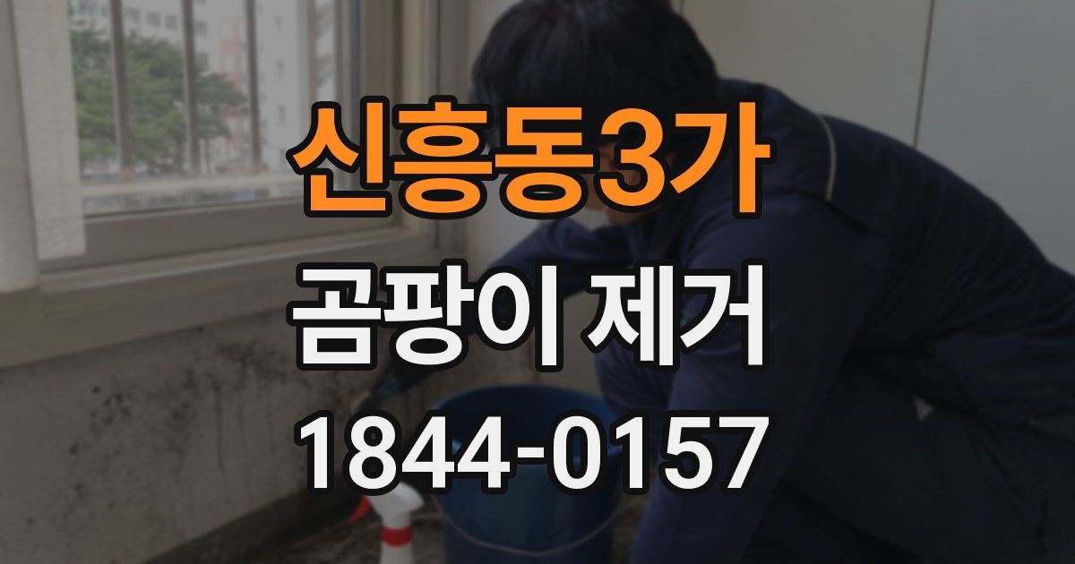 신흥동3가 곰팡이 제거
