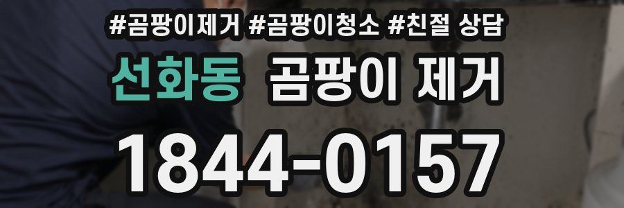 선화동 곰팡이 제거
