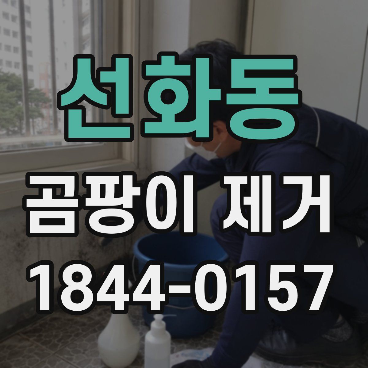 선화동 곰팡이 제거
