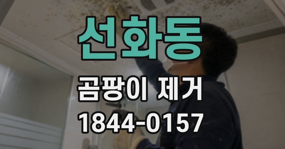 선화동 곰팡이 제거