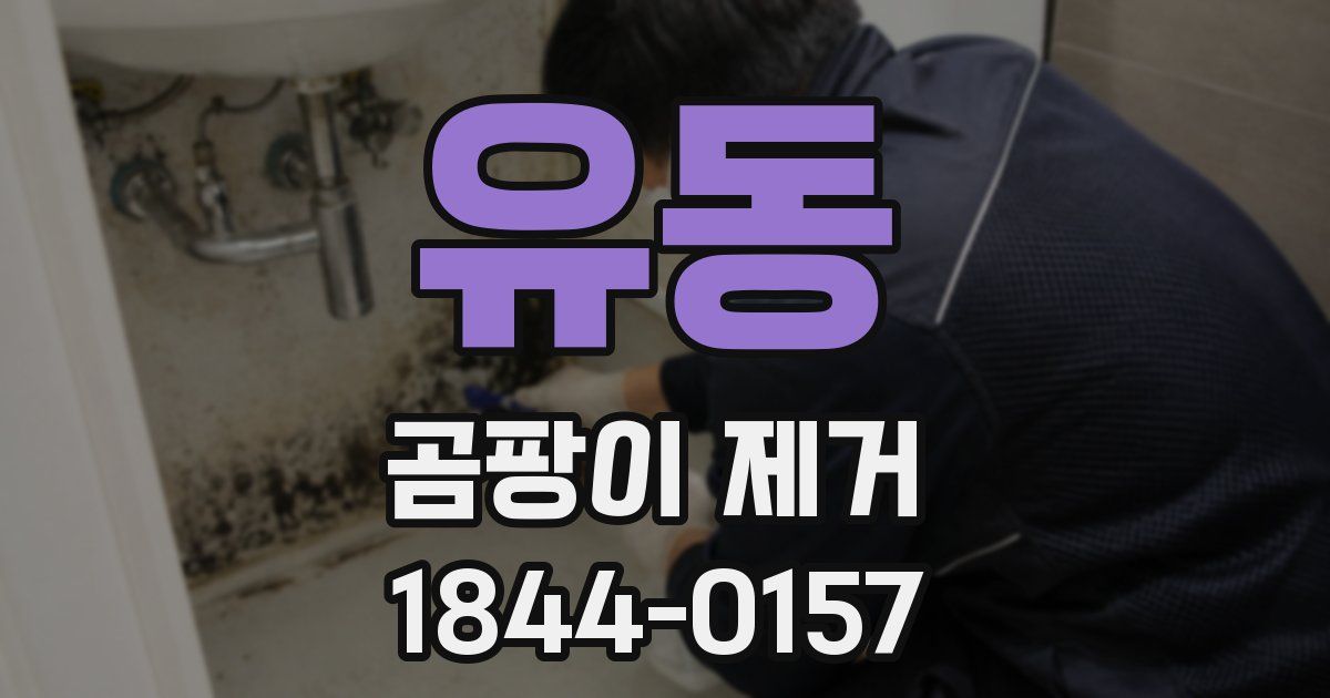 유동 곰팡이 제거