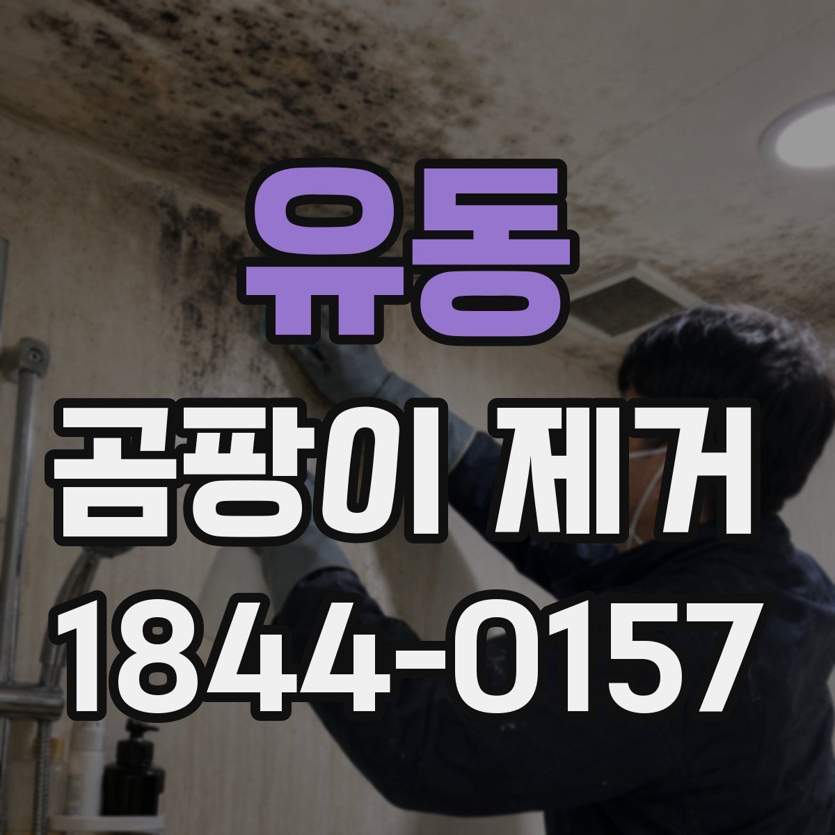 유동 곰팡이 제거