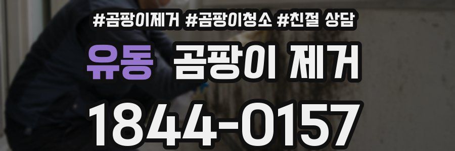 유동 곰팡이 제거