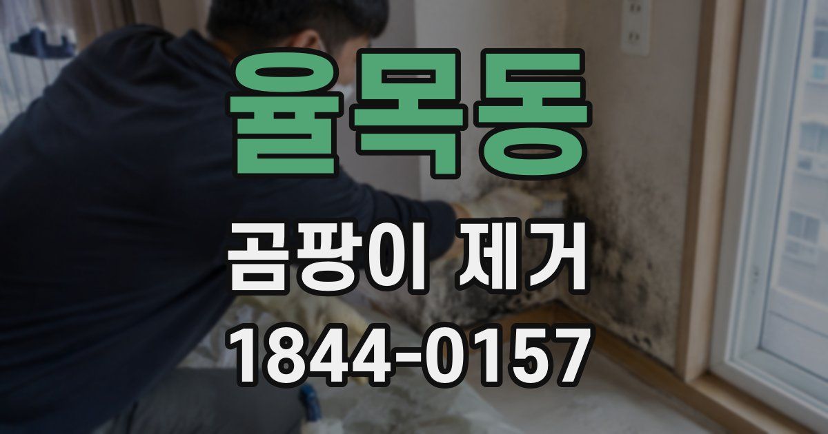 율목동 곰팡이 제거