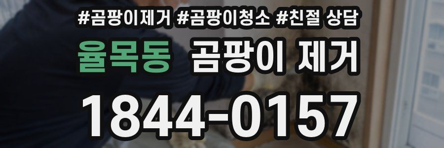 율목동 곰팡이 제거