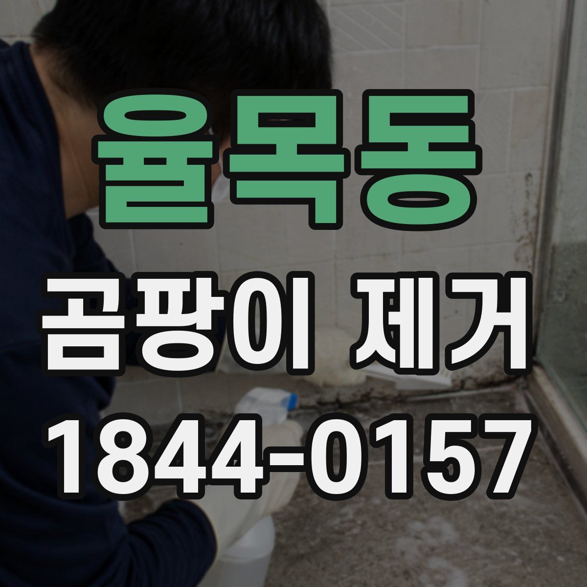 율목동 곰팡이 제거