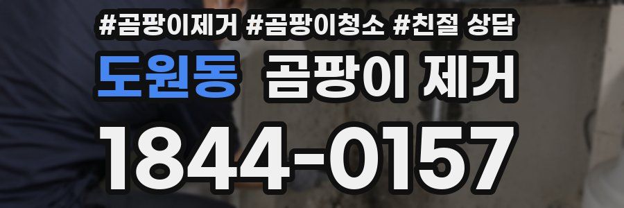 도원동 곰팡이 제거