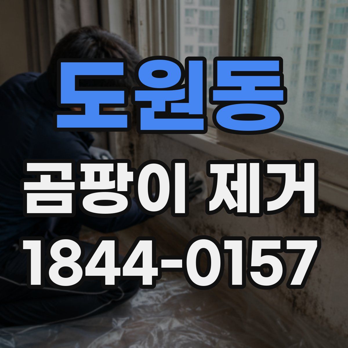도원동 곰팡이 제거