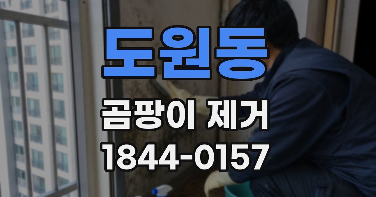 도원동 곰팡이 제거