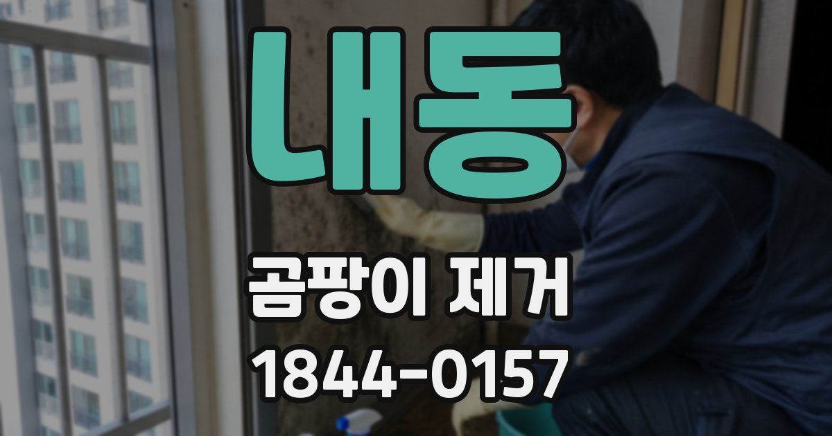 내동 곰팡이 제거