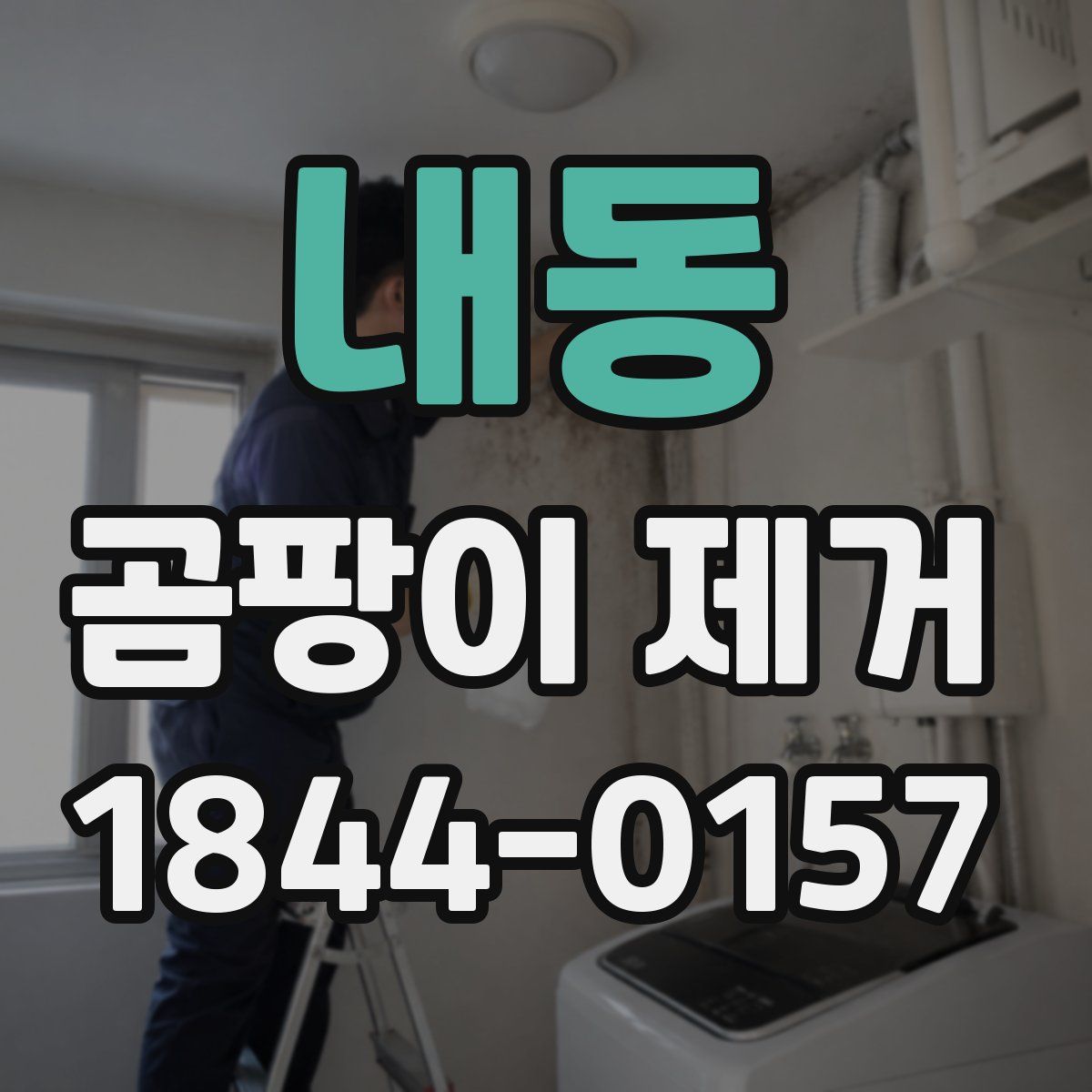 내동 곰팡이 제거
