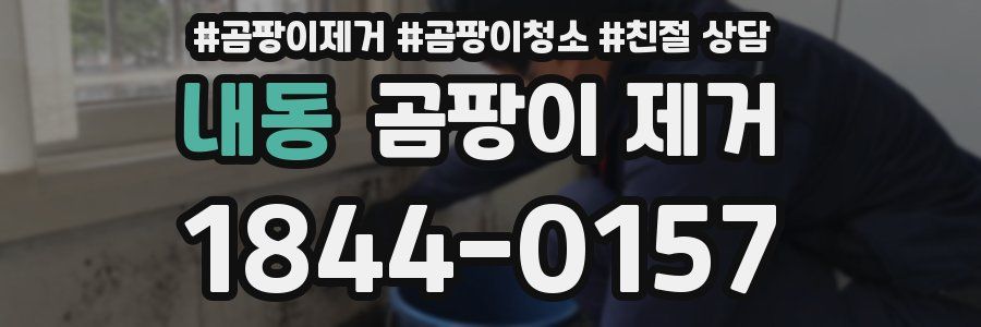 내동 곰팡이 제거