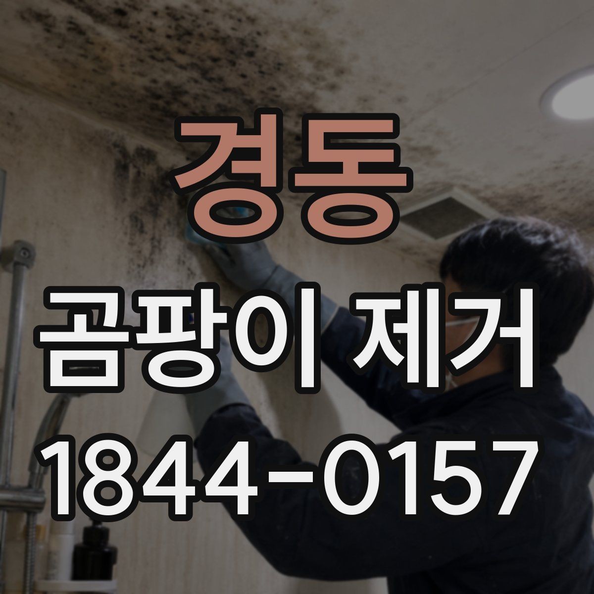 경동 곰팡이 제거 대상이 주방일 때 고려할 사항