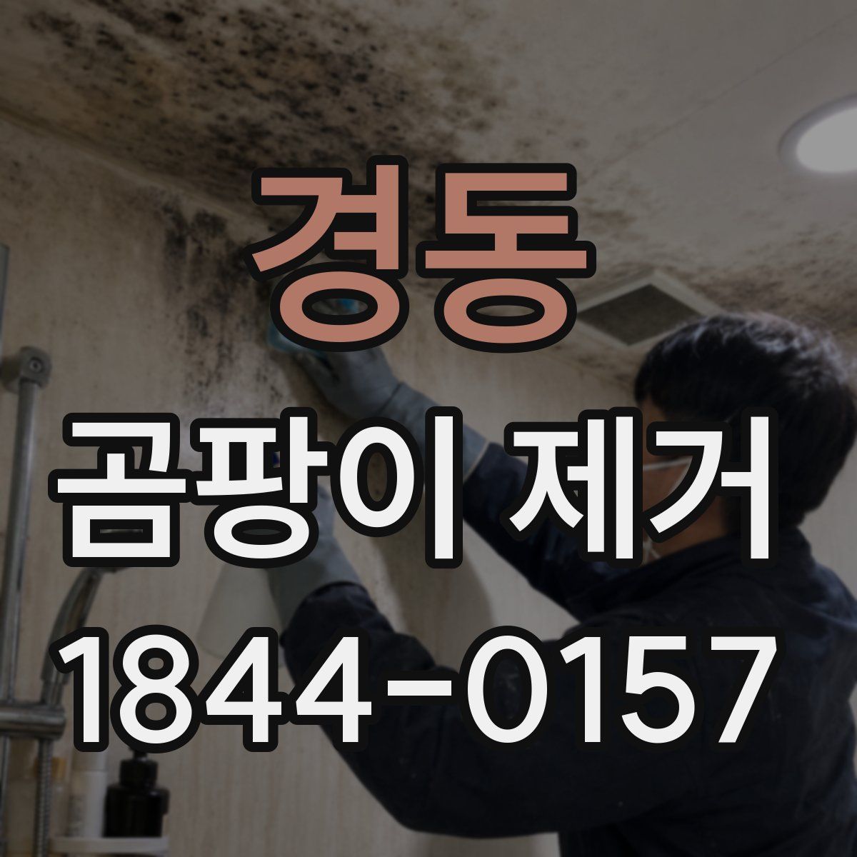 경동 곰팡이 제거