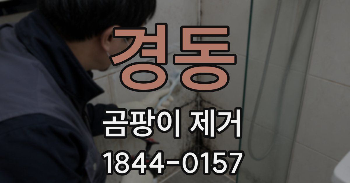 경동 곰팡이 제거