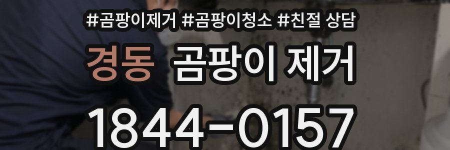 경동 곰팡이 제거