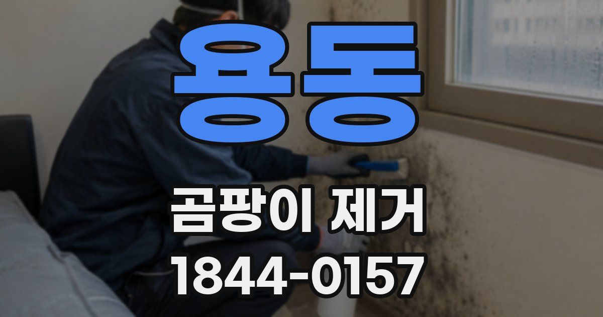 용동 곰팡이 제거