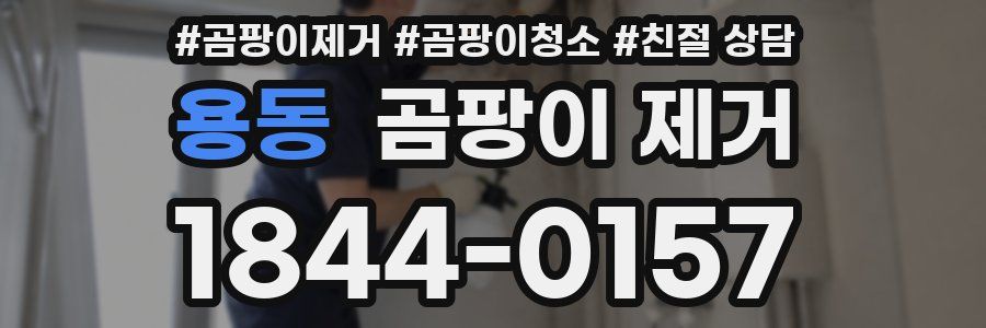 용동 곰팡이 제거