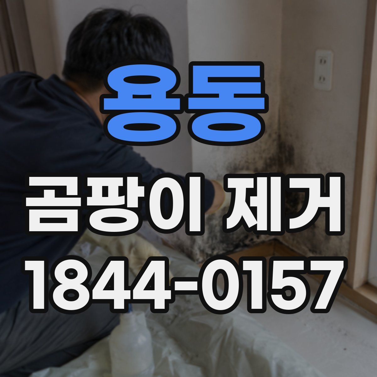 용동 곰팡이 제거