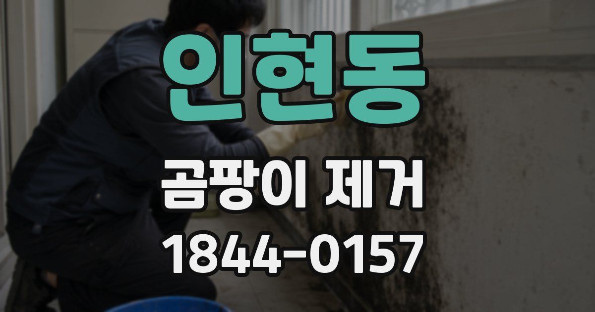 인현동 곰팡이 제거