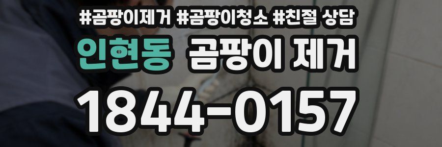 인현동 곰팡이 제거