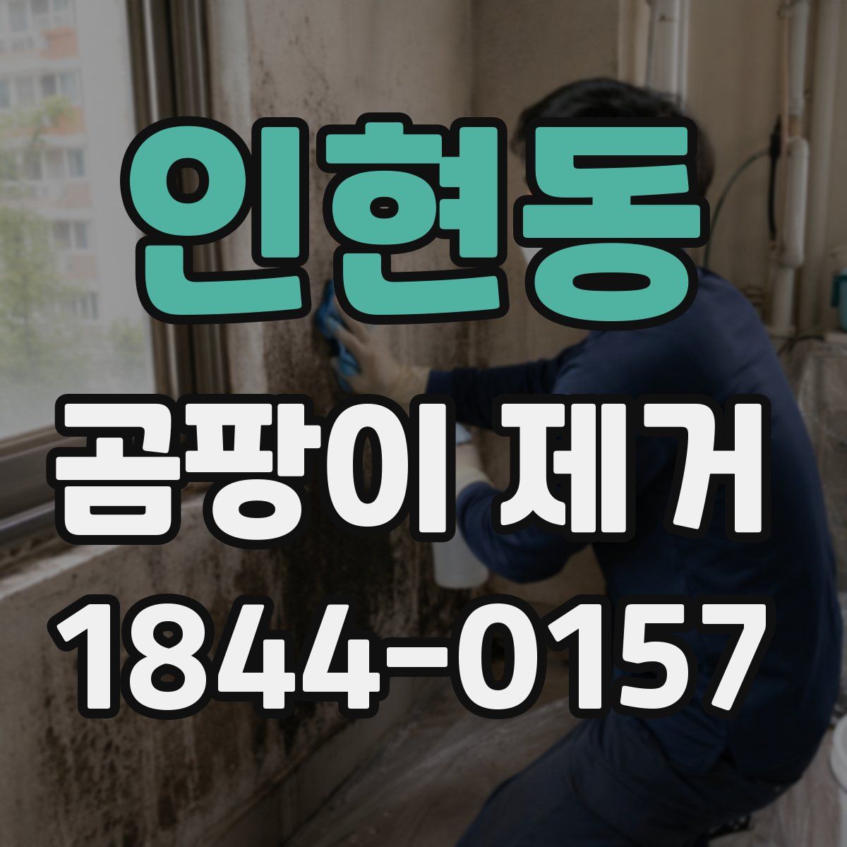 인현동 곰팡이 제거