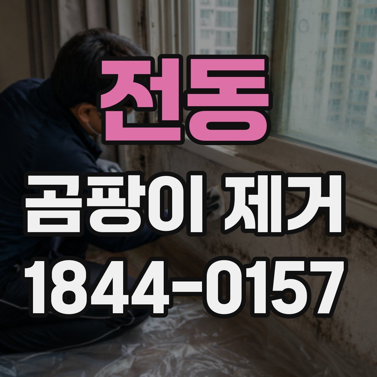 전동 곰팡이 제거