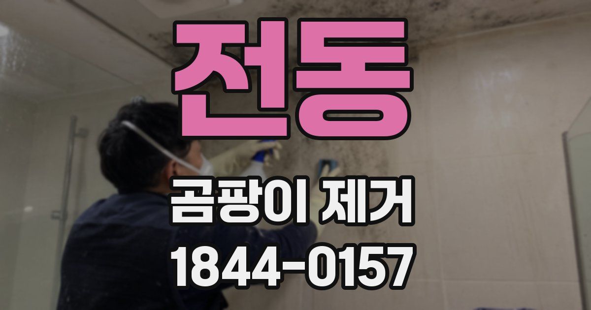 전동 곰팡이 제거