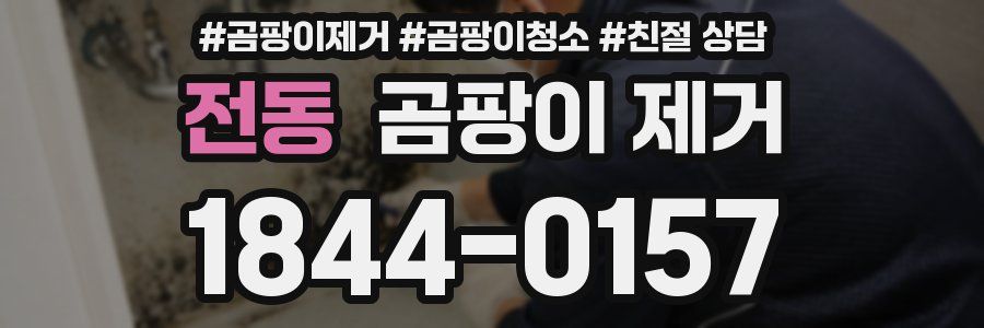 전동 곰팡이 제거