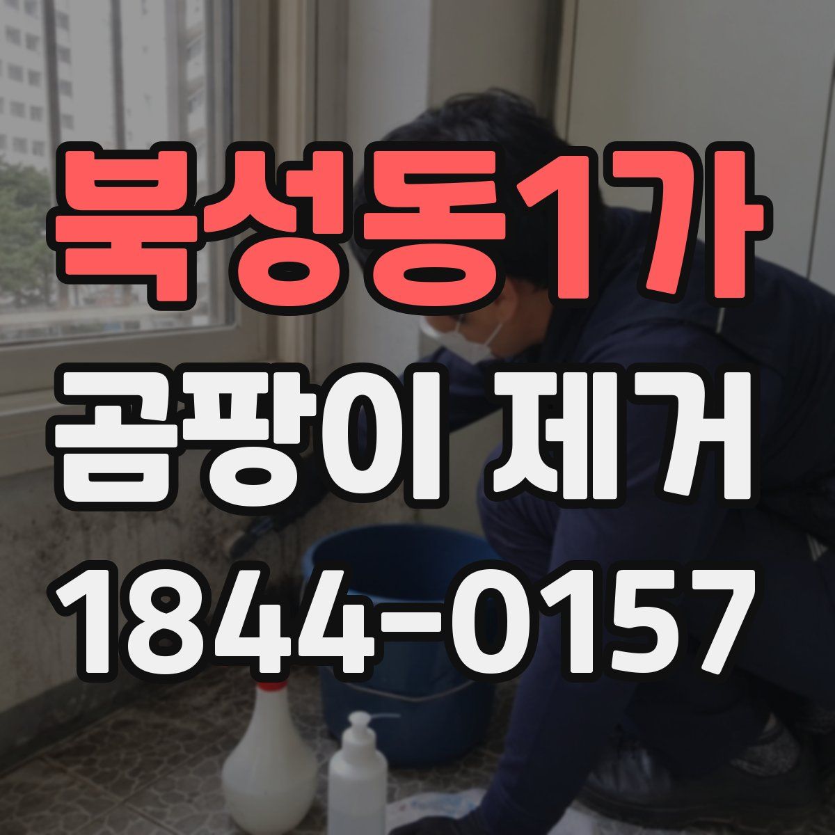 북성동1가 곰팡이 제거