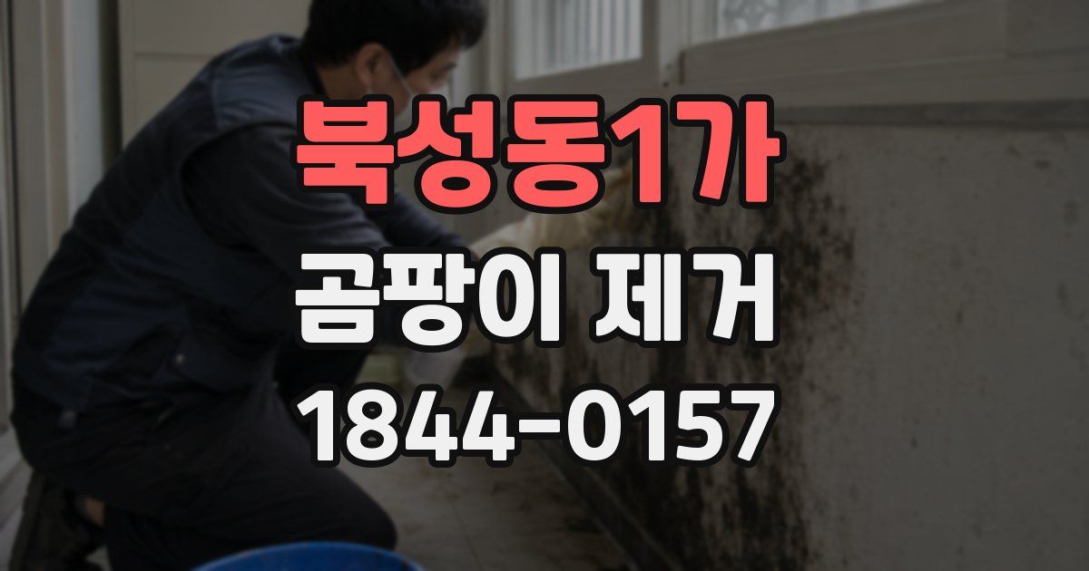 북성동1가 곰팡이 제거