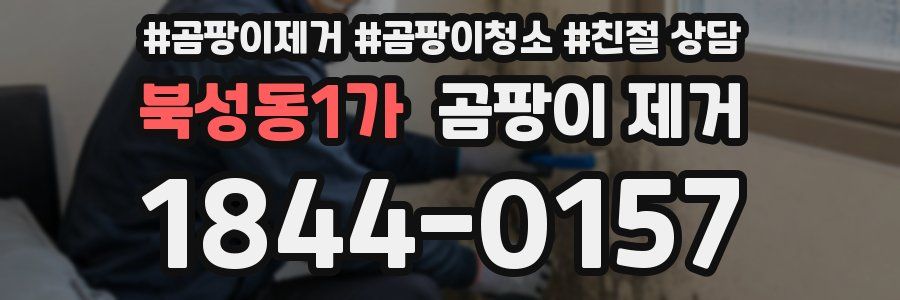 북성동1가 곰팡이 제거