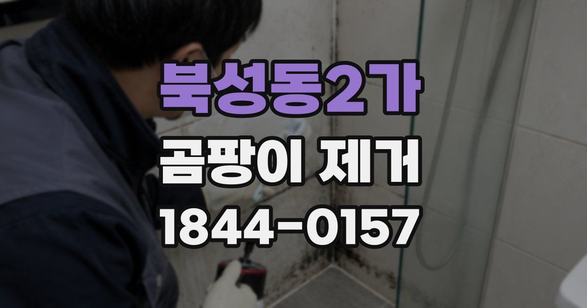 북성동2가 곰팡이 제거